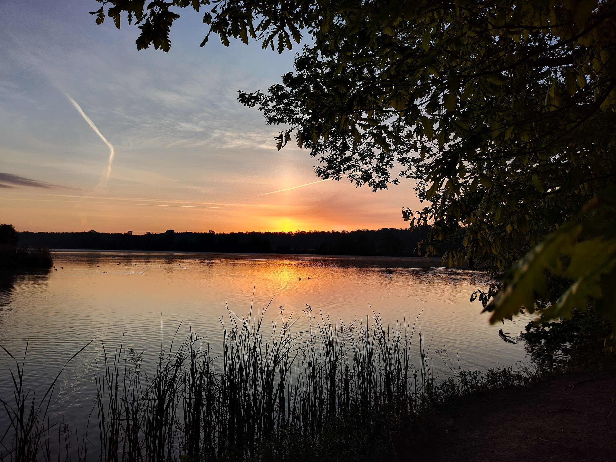 Nature reserve Łężczok